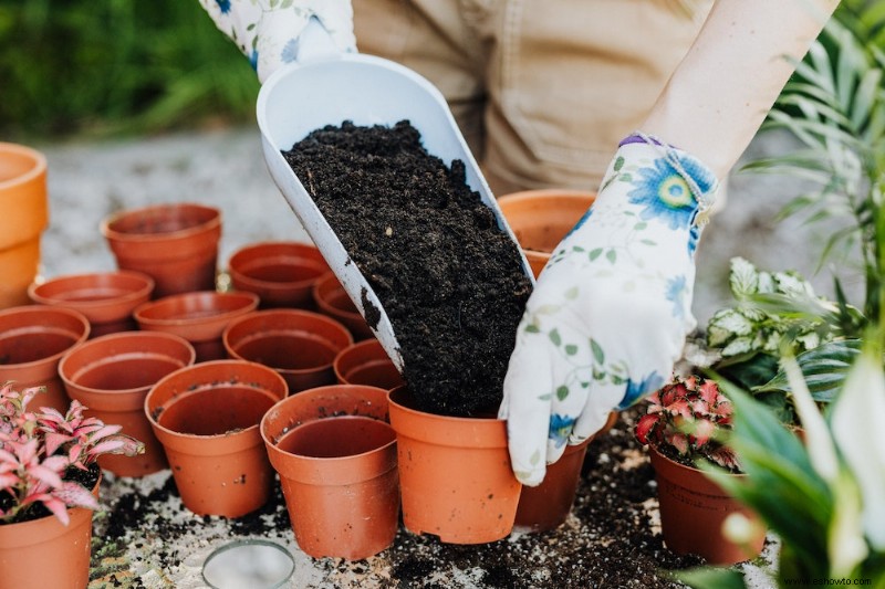 Cómo mejorar el drenaje en plantas en macetas