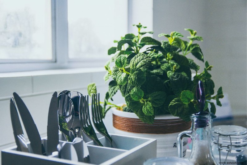 Cómo cultivar un jardín de hierbas en la cocina