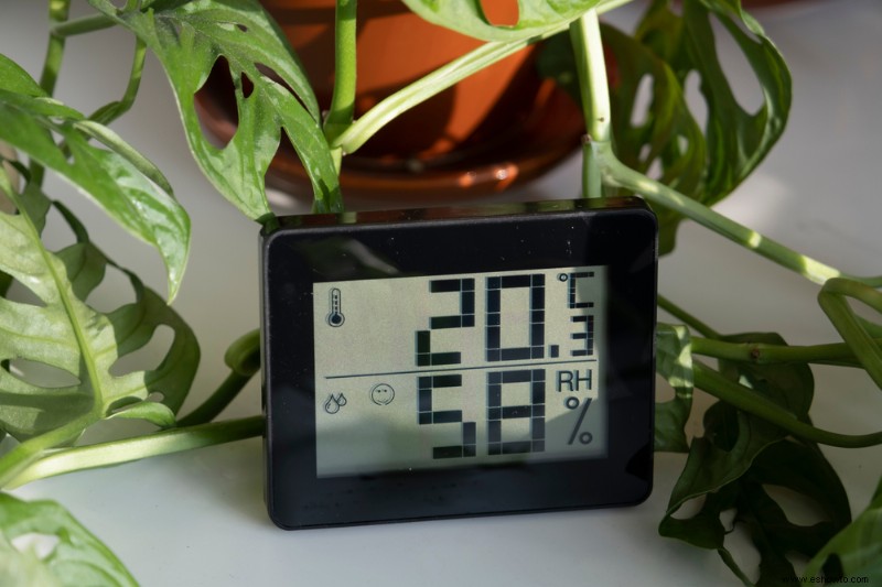 Cuál es el nivel de humedad adecuado para las plantas de interior