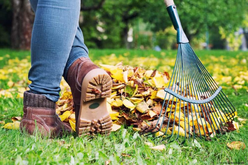 10 razones para triturar las hojas en lugar de rastrillarlas