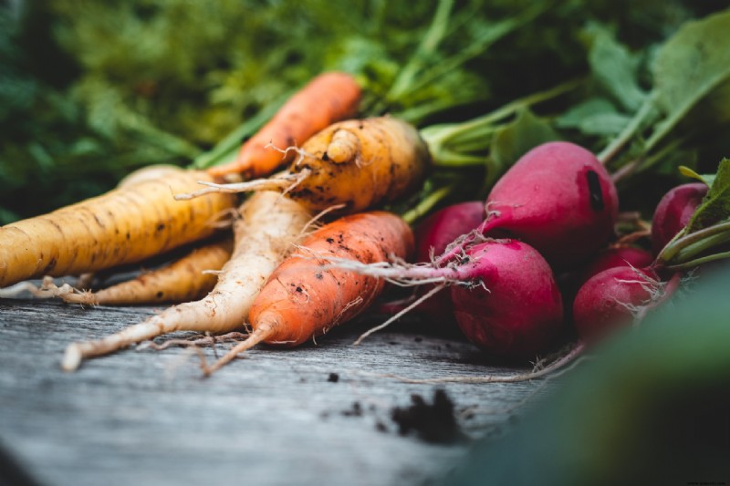 Cómo cultivar hortalizas al aire libre en invierno