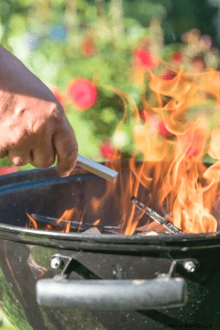 Las mejores parrillas de carbón:opciones duraderas para cocinar al aire libre