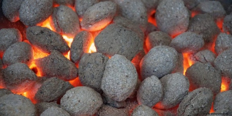 Fumador de pellets frente a fumador de carbón:es más que sabor