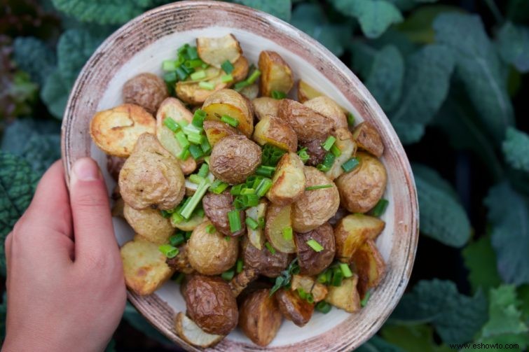 Las mejores comidas vegetarianas para tu fiesta en el jardín