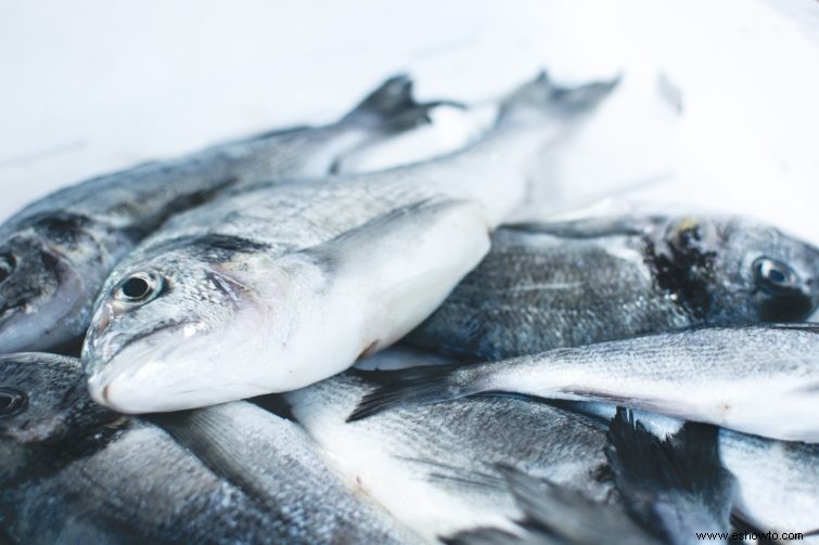 Cómo asar pescado a la parrilla