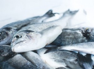 Cómo Asar Pescado a la Parrilla: Guía Experta Paso a Paso para Resultados Perfectos