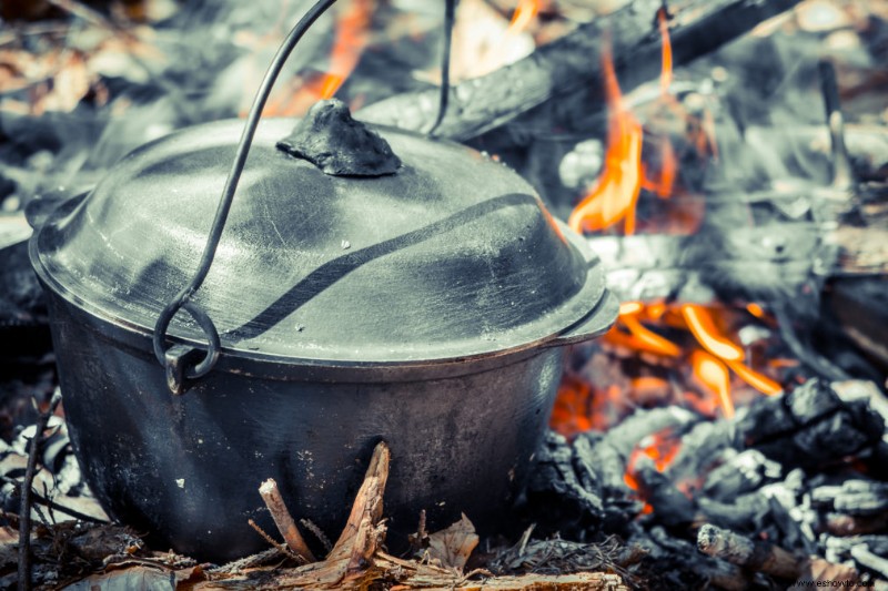 Cómo cocinar pescado sobre una fogata