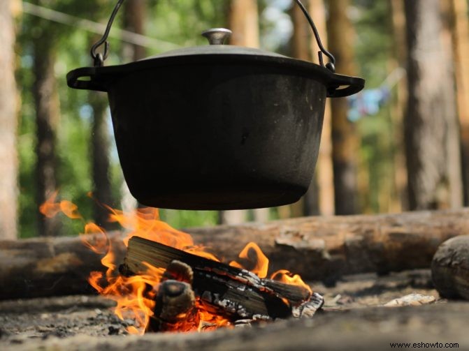 Una breve historia del horno holandés