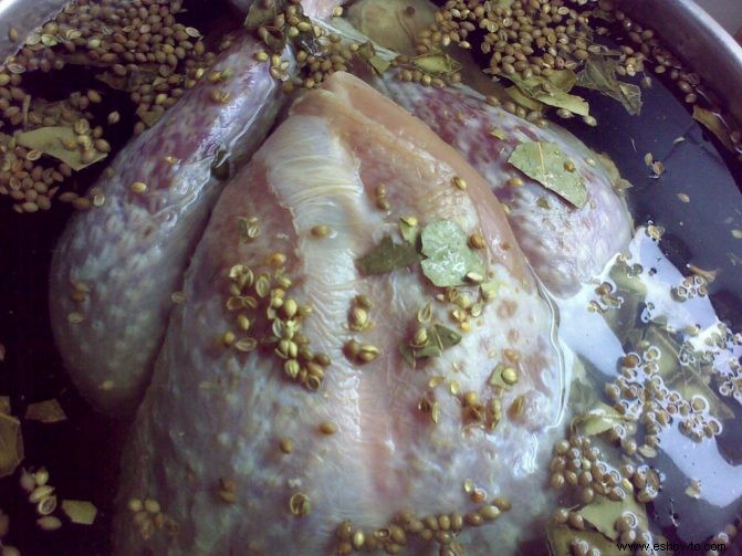 Salmuera o inyección en el pavo, ¿qué es mejor para asar a la parrilla?