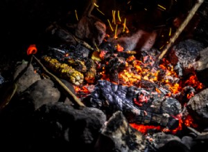 La Historia Completa de la Barbacoa en Texas: Orígenes y Estilos Regionales