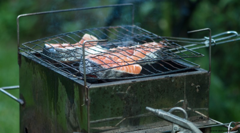 Parrillas caseras:tipos y qué considerar