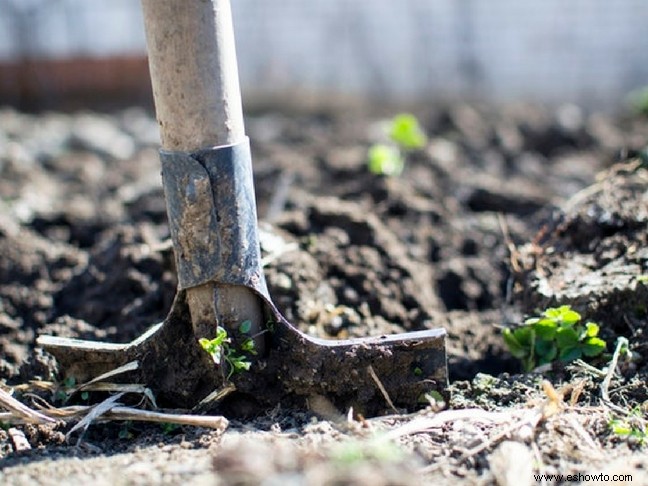 ¿Cómo hacer un jardín apto para niños?