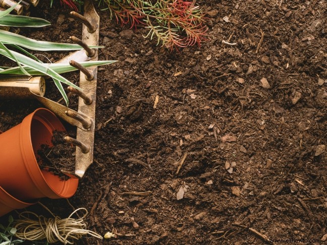 ¿Cómo hacer un jardín apto para niños?