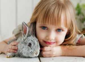 Consejos profesionales sobre el manejo de niños y mascotas en un espacio pequeño