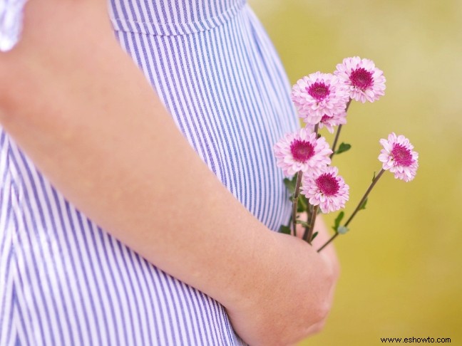 7 consejos para mujeres embarazadas para mantenerse saludables durante el viaje
