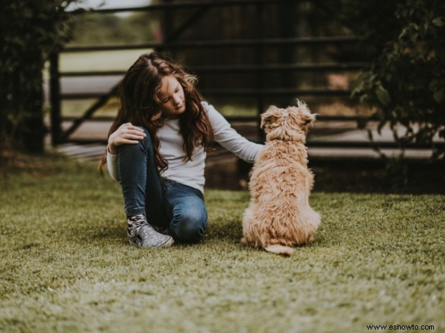 10 beneficios para su familia al tener una mascota