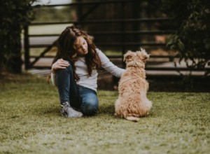 10 Beneficios de Tener una Mascota en la Familia: Salud, Responsabilidad y Bienestar