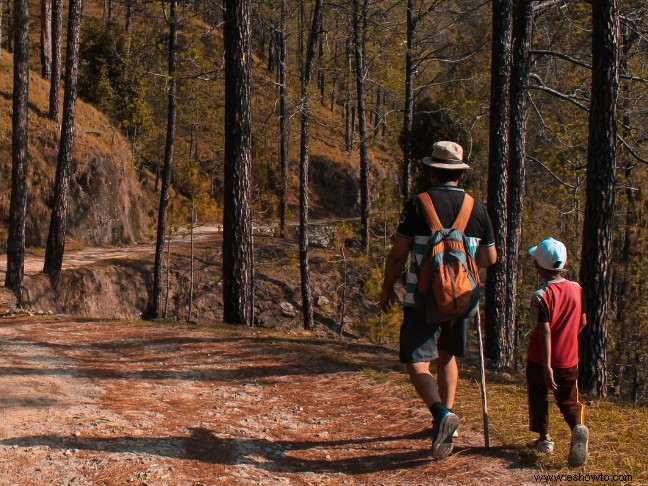 Cómo ir de campamento, senderismo y piragüismo con sus hijos