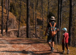 Guía experta para acampar, hacer senderismo y piragüismo con niños: consejos prácticos y seguros