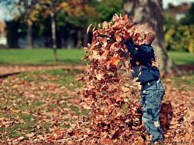 Maneras de divertirse al aire libre con su familia