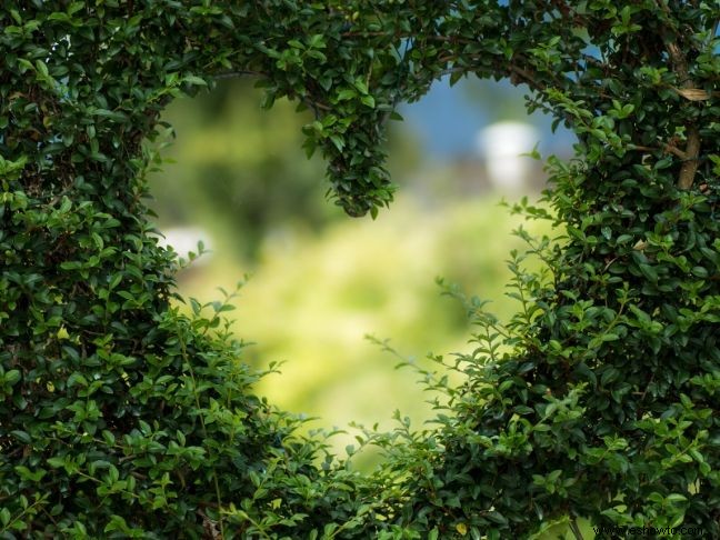 9 consejos para un jardín familiar en un espacio pequeño