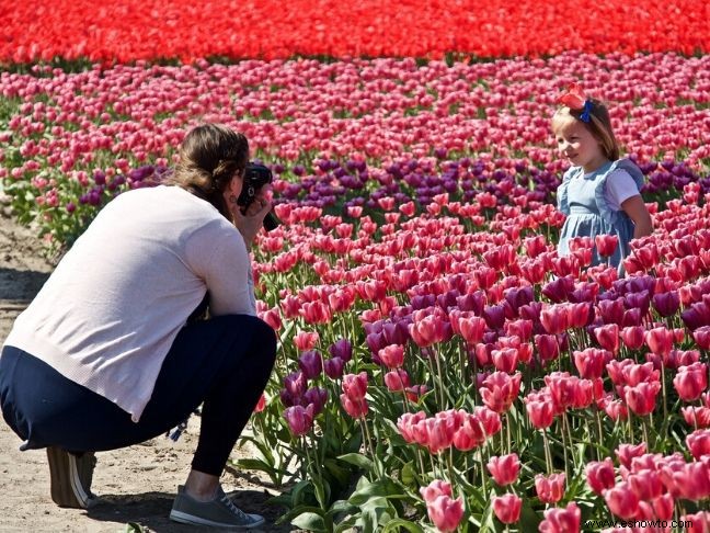 Por qué debería derrochar esas fotos familiares