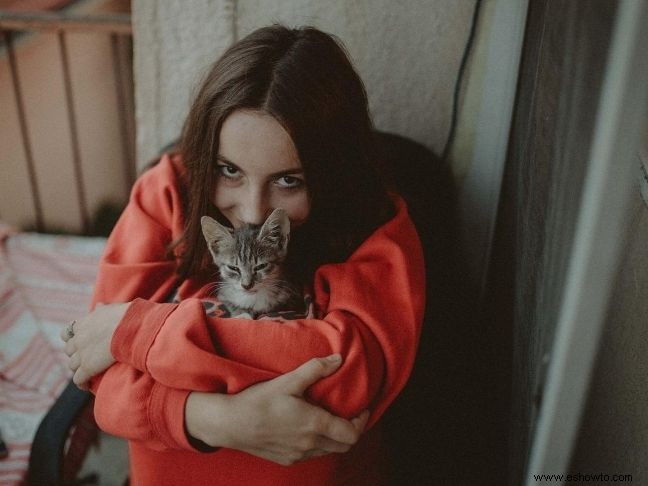 10 inmensos beneficios de vivir con un gato