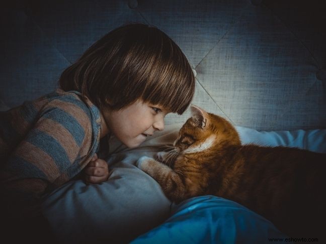 Cómo mantener seguros a niños y gatos juntos