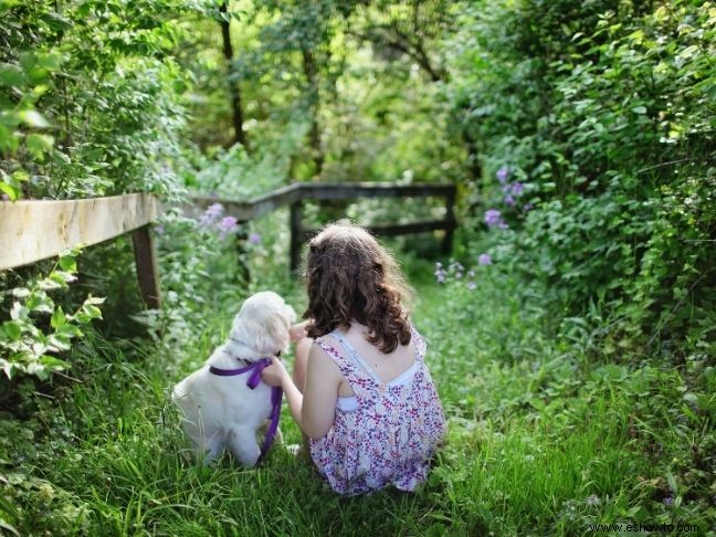 Pros y contras de tener una mascota para su familia