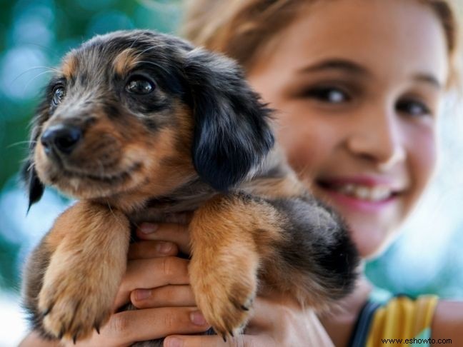 Ahorro en gastos de mascotas