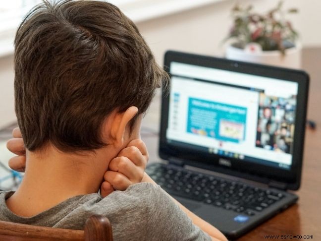 Combatir los riesgos de ciberseguridad para el aprendizaje en línea durante el COVID-19