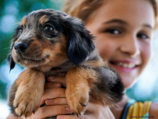 5 cosas que debe saber antes de comprarles una mascota a sus hijos
