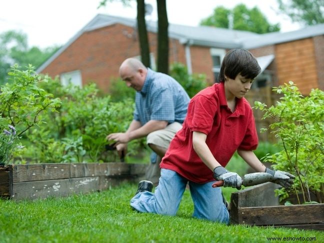 7 actividades divertidas para hacer con tus hijos