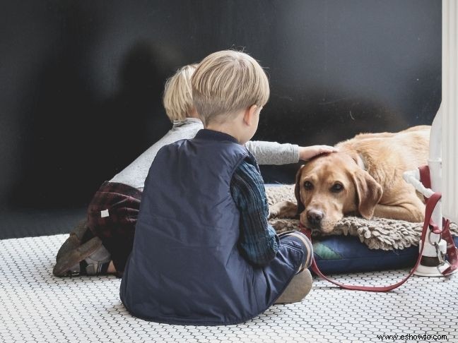 Los beneficios de las mascotas para la salud mental de sus hijos