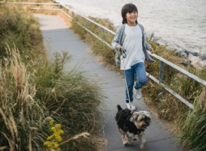 10 Formas Efectivas de Motivar a los Niños Sedentarios a Ser Más Activos Físicamente