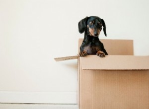 ¿A quién notificar antes de mudarte? Guía esencial para una transición sin problemas