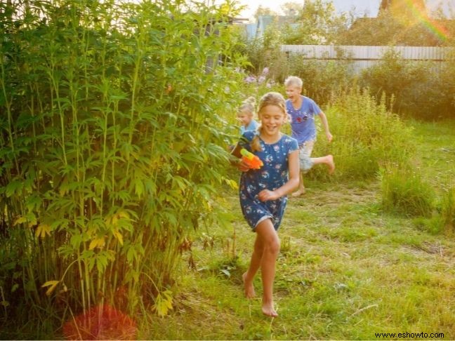 Cosas divertidas para hacer con un gran jardín si tienes niños