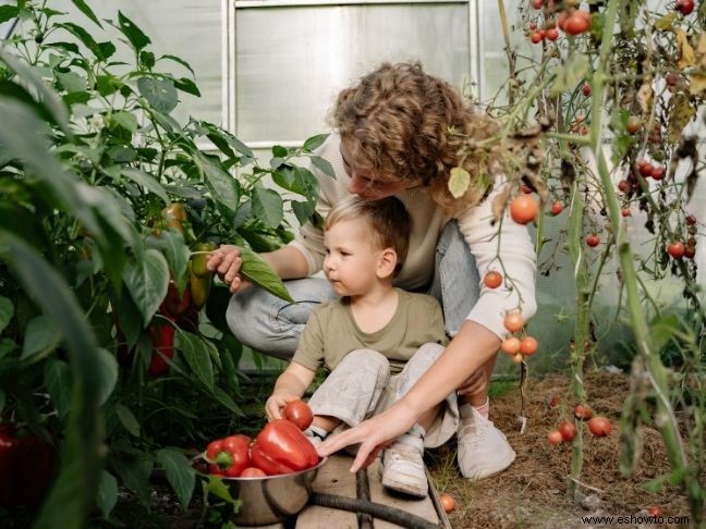 Cómo motivar a su hijo a comer más verduras