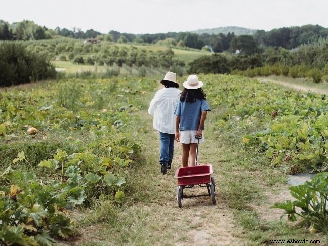 Cómo enseñar un estilo de vida respetuoso con el medio ambiente a sus hijos