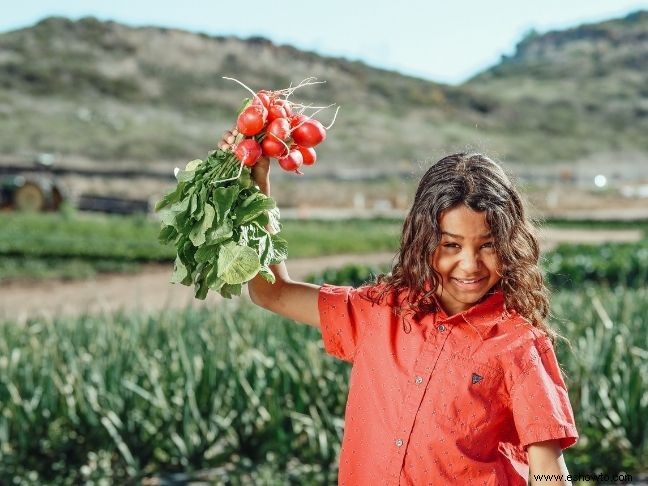 Cómo motivar a los niños a comer más verduras