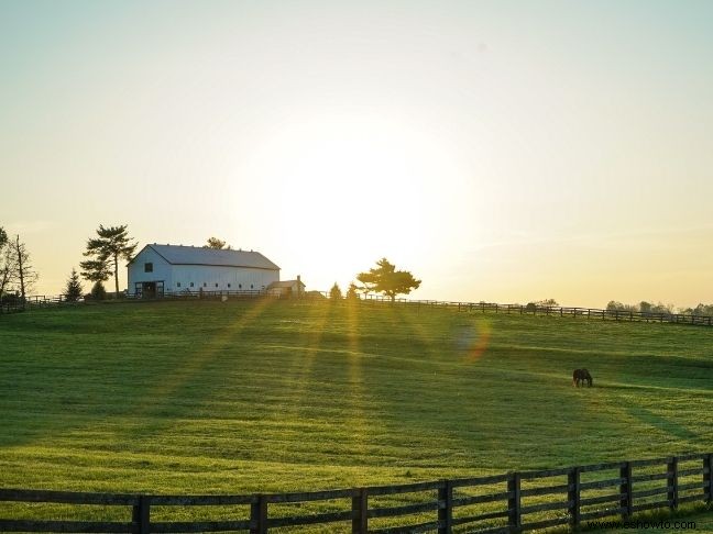 ¿Es mejor formar una familia en el campo? 