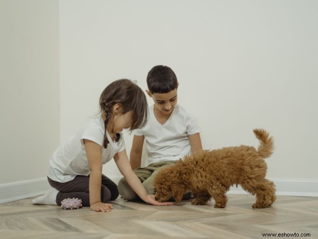 5 maneras fáciles de enseñar a sus hijos la responsabilidad de las mascotas