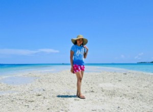 Trajes Temáticos de Verano para Toda la Familia: Ideas Elegantes y Prácticas