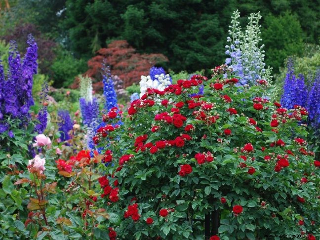 Los 7 jardines de primavera más hermosos para visitar en el Reino Unido