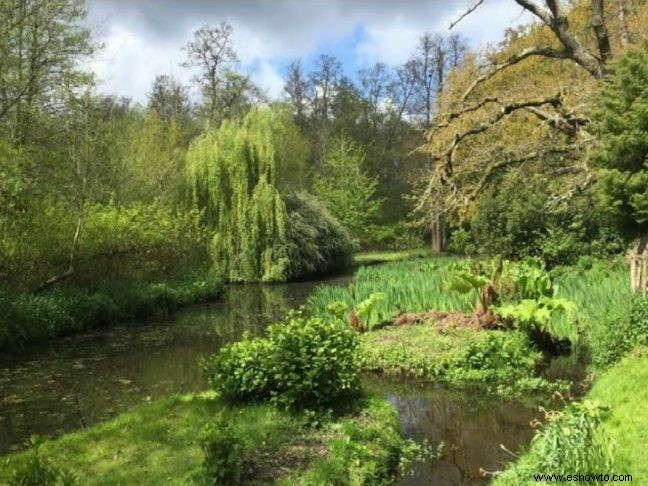 Los 7 jardines de primavera más hermosos para visitar en el Reino Unido