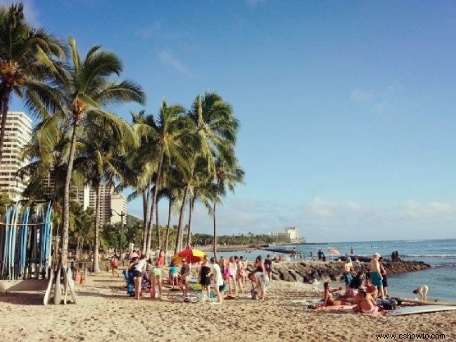 Viaje a Hawái con la familia:¿Qué se debe considerar?