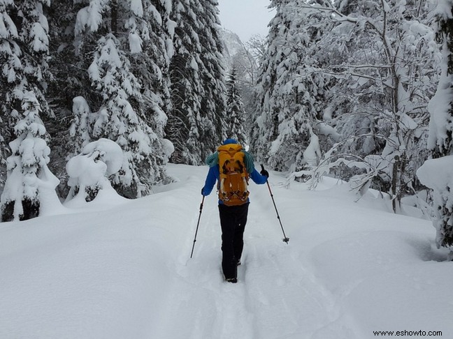 Cinco consejos principales para hacer caminatas seguras en Winter Wonderlands