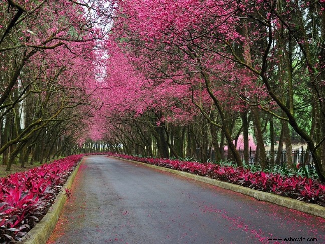 Grandes lugares para visitar en el otoño de 2018