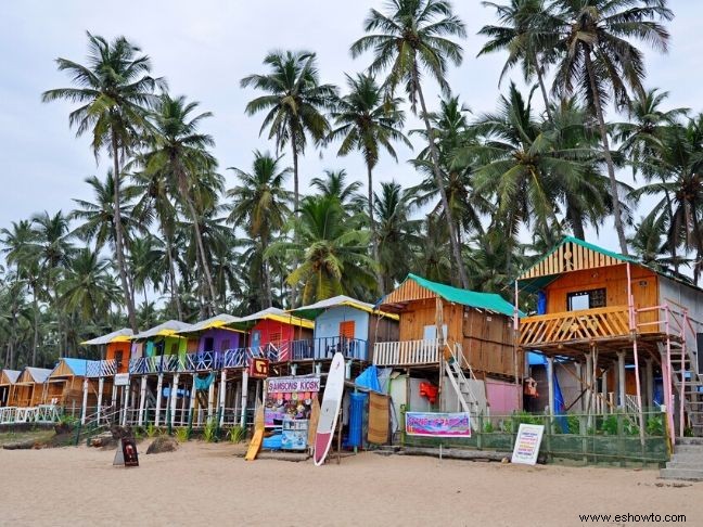 10 cosas únicas para hacer en Goa en 2020