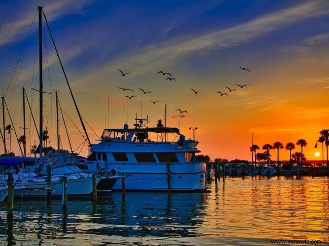 Lugares que debe visitar cuando esté en Florida